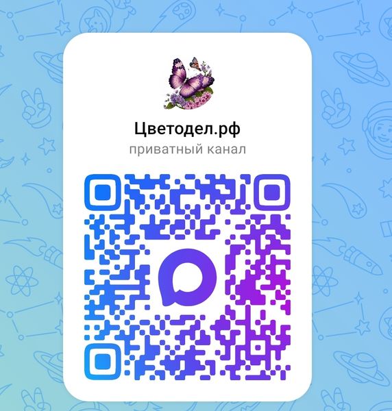Теперь  мы в Макс