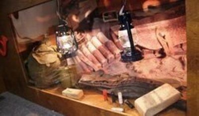 Пневматический тир "Охота"