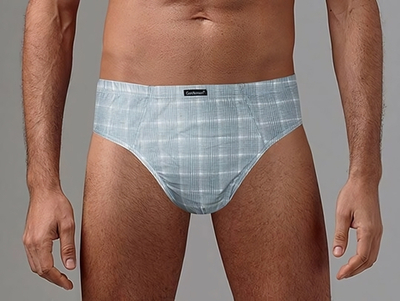 Набор из 2 клетчатых трусов - серых и голубых (Размер: M) (Цвет: серый с голубым)