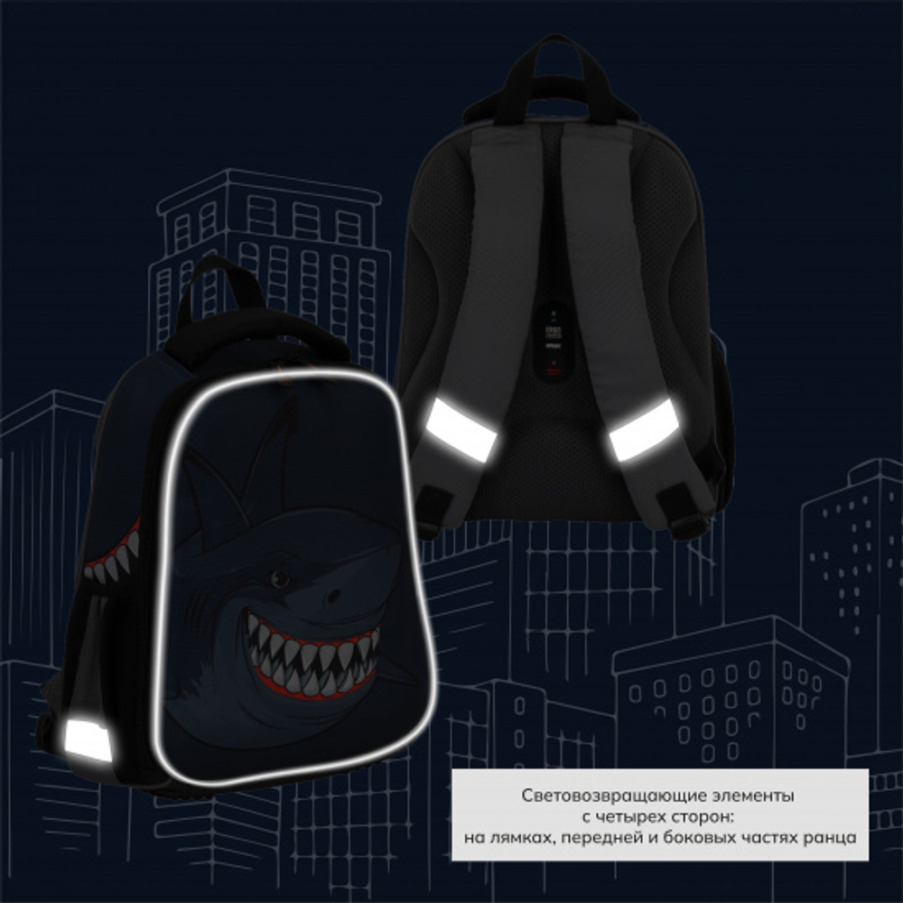 Ранец, спинка эргономичная, 1 отделение, 35*27*13 см, ERGO Light, Shark, КОКОС, 213970