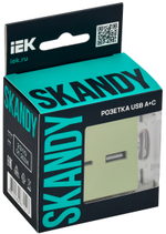 SKANDY Розетка USB A+C 3,1А SK-R14G мятный IEK