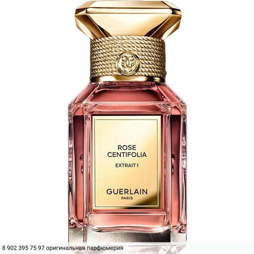 Rose Centifolia Extrait 1