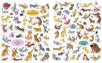 Our Animal Friends