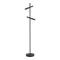 SL6210.405.02 Светильник напольный ST-Luce Черный/Черный, Золотистый LED 2*3W 3000K LILT
