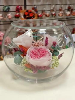 Натуральные пионы в стекле, вакуум