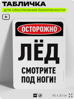 Табличка для обеспечения безопасности "Осторожно, лёд, смотрите под ноги", для офиса, по охране труда для предприятия, организаций, 40х30 см, Silver Plane x Айдентика Технолоджи