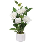 Цветочная композиция «Розовый куст» 43см в горшке, цвет белый