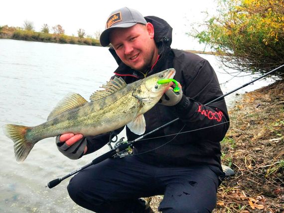 Виброхвосты съедобные LJ Pro Series TIOGA 2.9in (7,4 см), цв. 071, 7 шт.