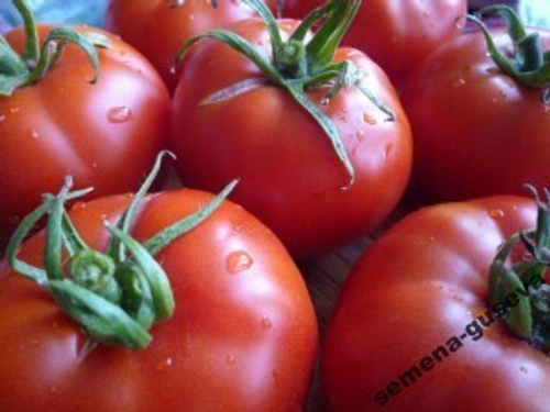 Помидоры Делишес — Delicious