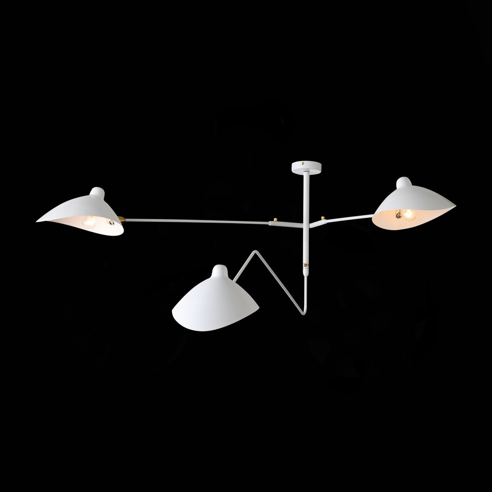 Люстра потолочная ST Luce Spruzzo SL305.502.03