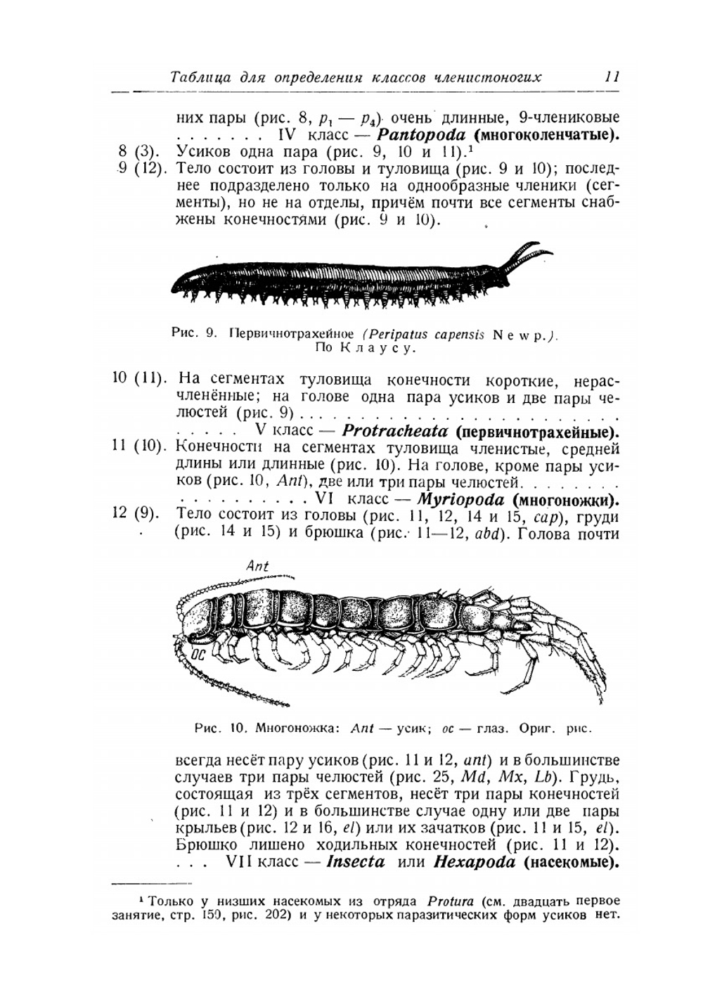 Руководство к практическим занятиям по общей энтомологии | Н.Н. Богданов-Катьков