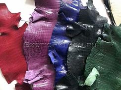 Кожа крокодила SK-51