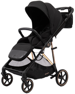 Прогулочная коляска Peppy Amici с автокреслом Verona Beige Black рама Gold
