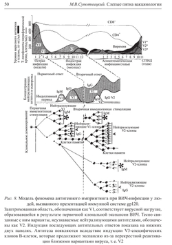 Супотницкий М.В. Слепые пятна вакцинологии. Монография. 2-е изд., стереотипное