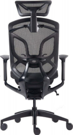 Кресло GT Chair Dvary X