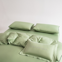 Комплект постельного белья Однотонный Сатин Элитный OCE012