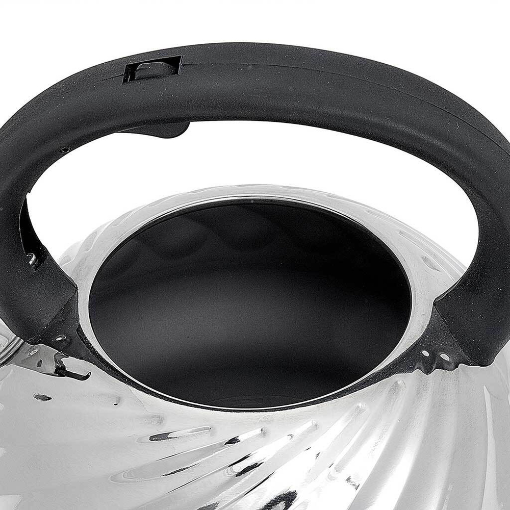 Чайник со свистком 3 л из нержавеющей стали, индукционное дно WEBBER BE-0590 черный