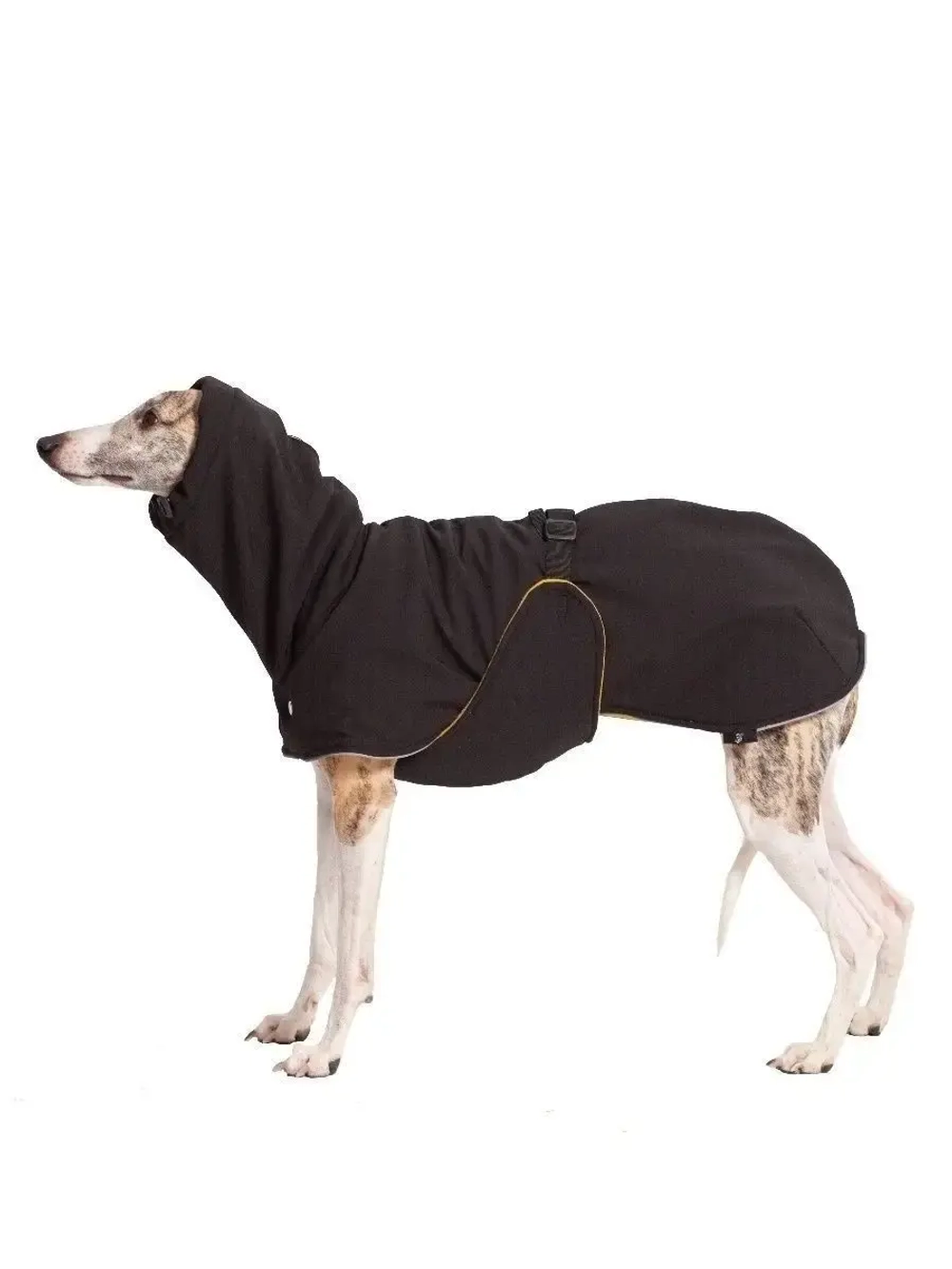 Утепленная попона для собак пород Уиппет Левретка