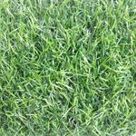 Трава искусственная "Август 20", ширина 4м, рулон 25м, 100 кв.м