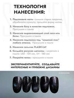 Гель-лак FLASH CAT 10