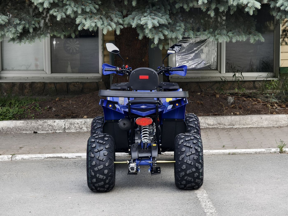 LION 200R синий