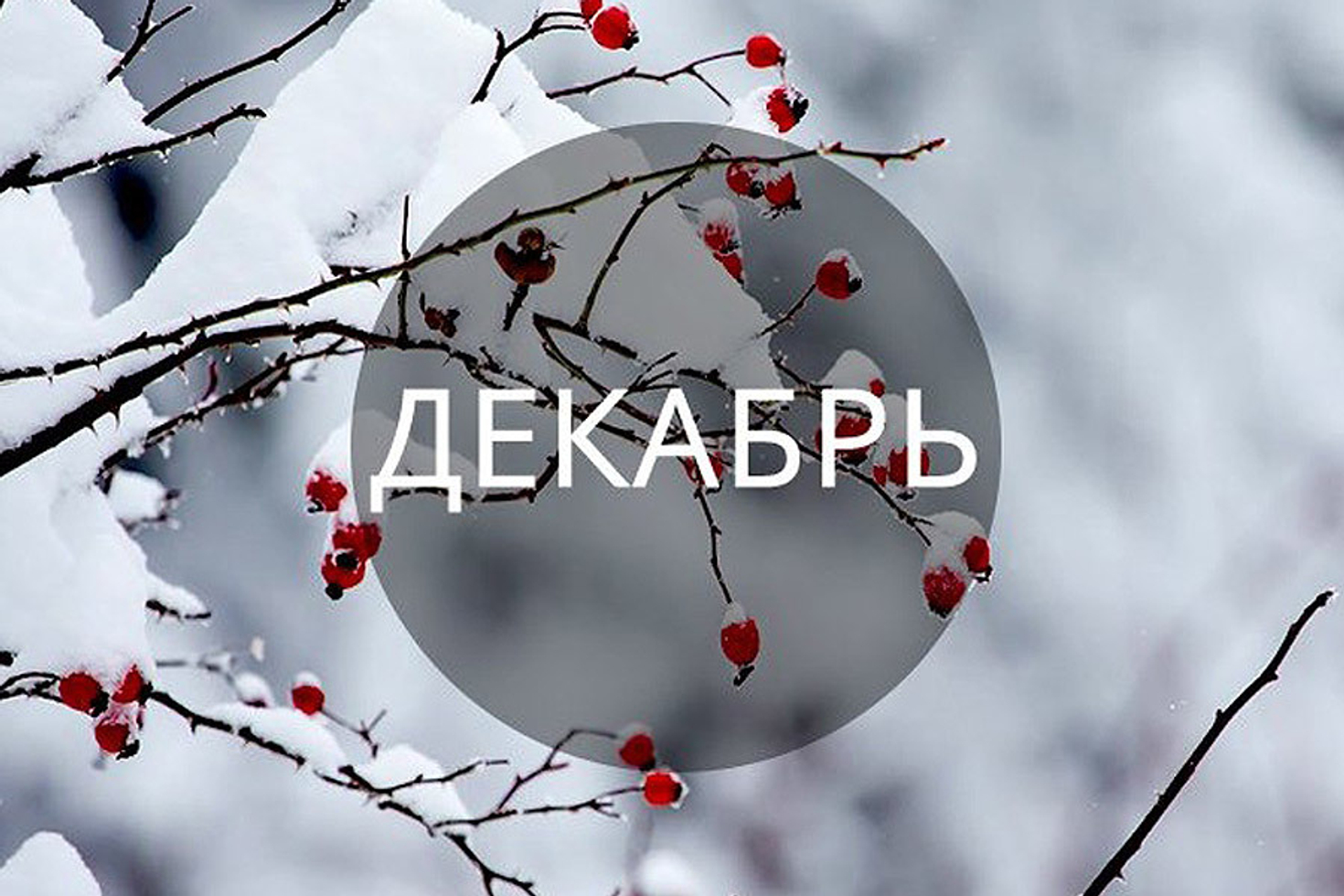 Акции декабря