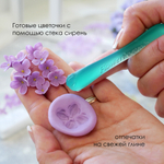 Сирень стек