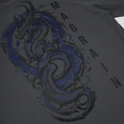Футболка Реглан DRAGON