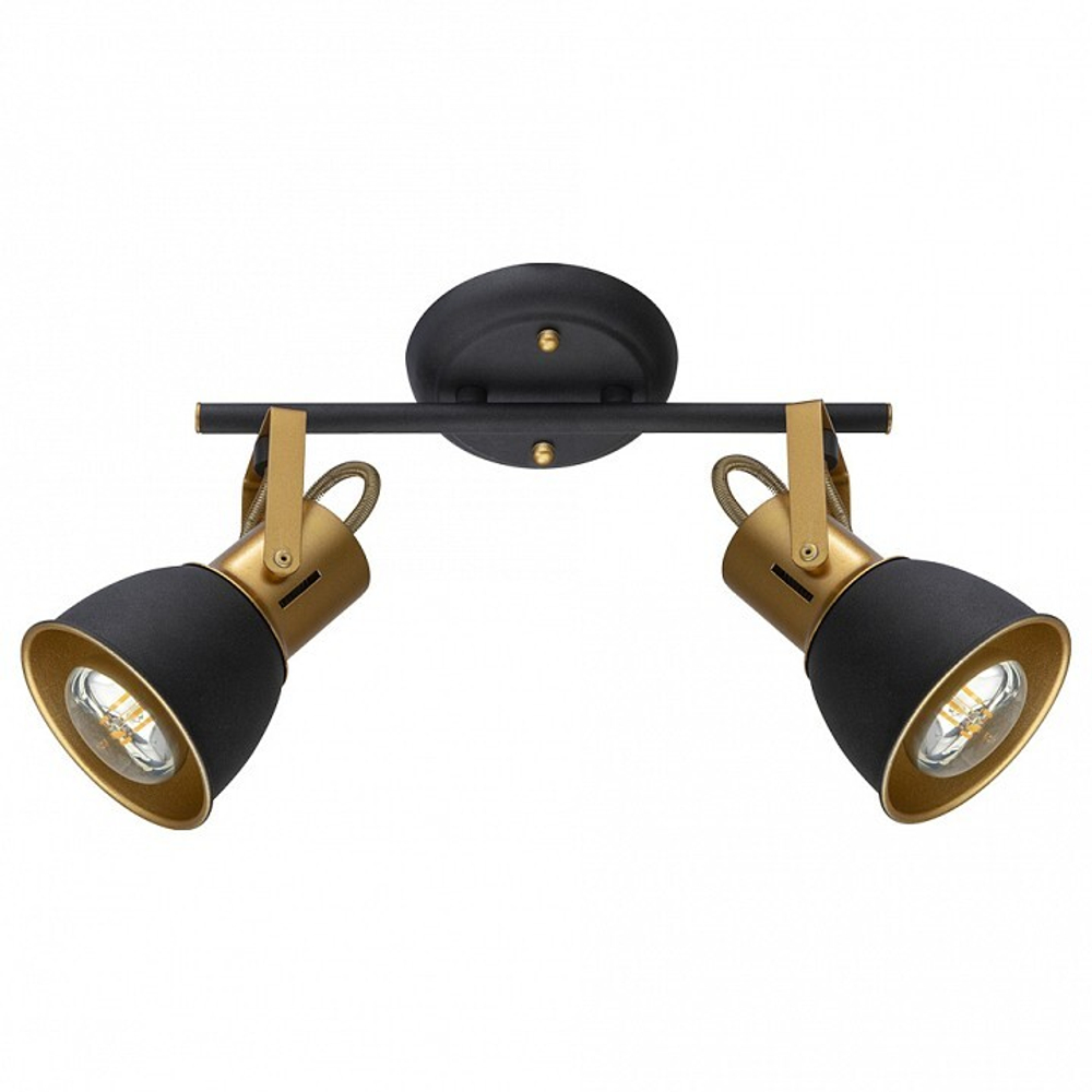 Спот Arte Lamp Jovi A1677PL-2GO