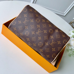 Louis Vuitton Speedy 25