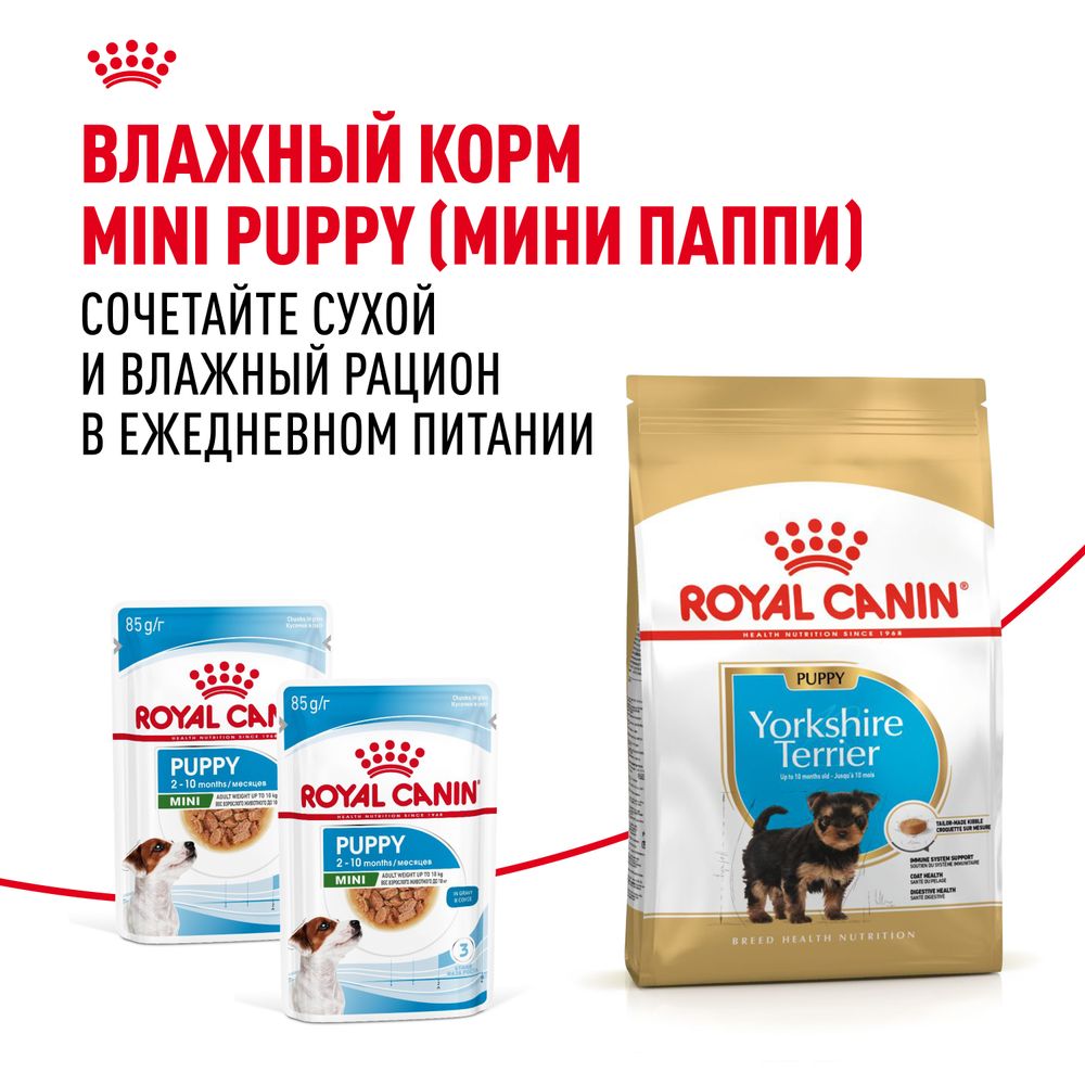 Сухой корм Royal Canin Yorkshire Terrier Puppy для щенков породы Йоркширский Терьер до 10 месяцев Сухой корм Royal Canin Yorkshire Terrier Puppy для щенков породы Йоркширский Терьер до 10 месяцев