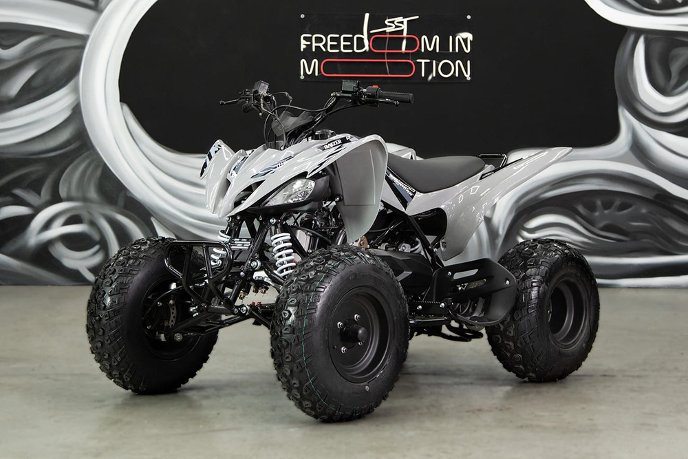 Квадроцикл SHARMAX Raizer Race Cup 250