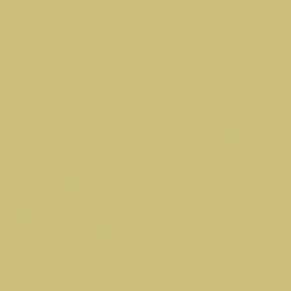 LL CO112 бумажный фон COLORAMA 2.72 X 11M FERN