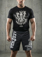 Футболка спортивная хлопковая мужская черная LEGENDA Горыныч белый