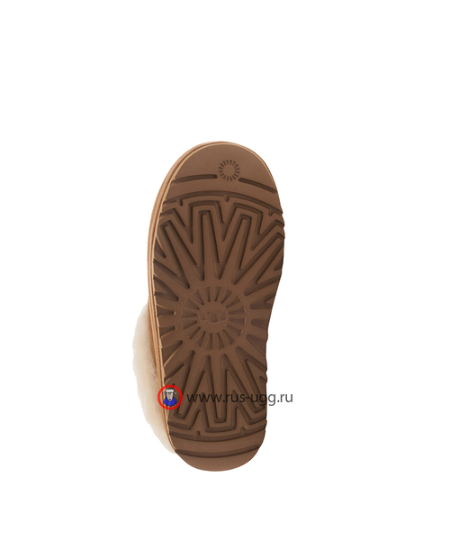 TAZZLITA Chestnut