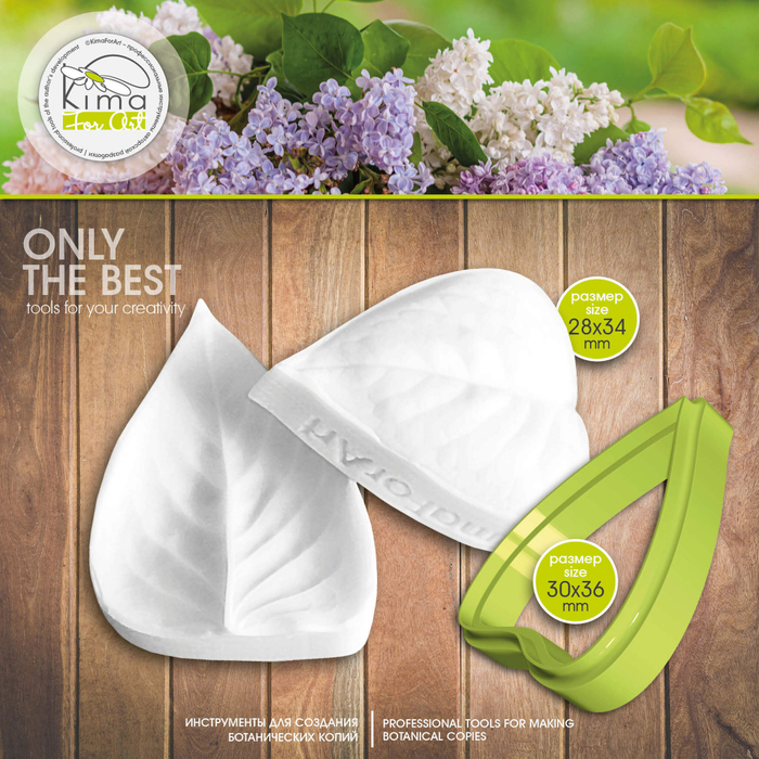 Сирень лист маленький