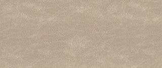 Искусственная кожа Nevada (Невада) 22