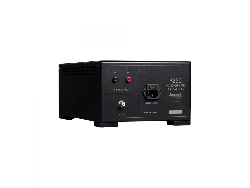 Усилитель для акустики Spotless Audio P250 Monoblock 2 шт
