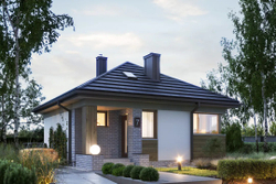 Дом Долорес 64