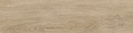 Керамогранит Baltic_GT Бежевый 19,8x80 GT208021202MСR
