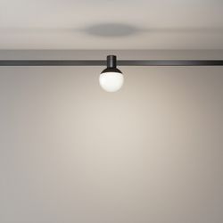 Накладной светильник Maytoni Luna TR149-1-5W4K-B