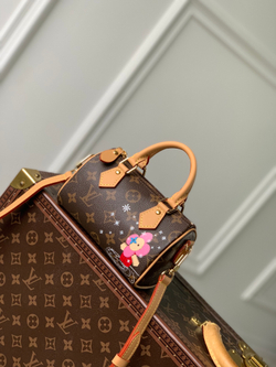 Louis Vuitton Nano Speedy