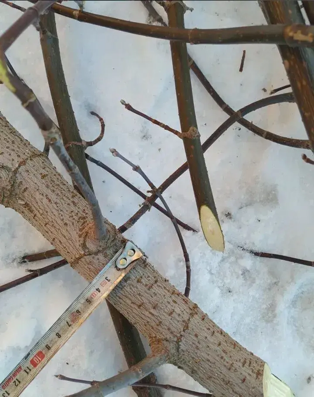 Садовый измельчитель