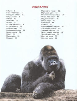 ЭНЦИКЛОПЕДИЯ ДЛЯ ДЕТЕЙ новые. ОБЕЗЬЯНЫ