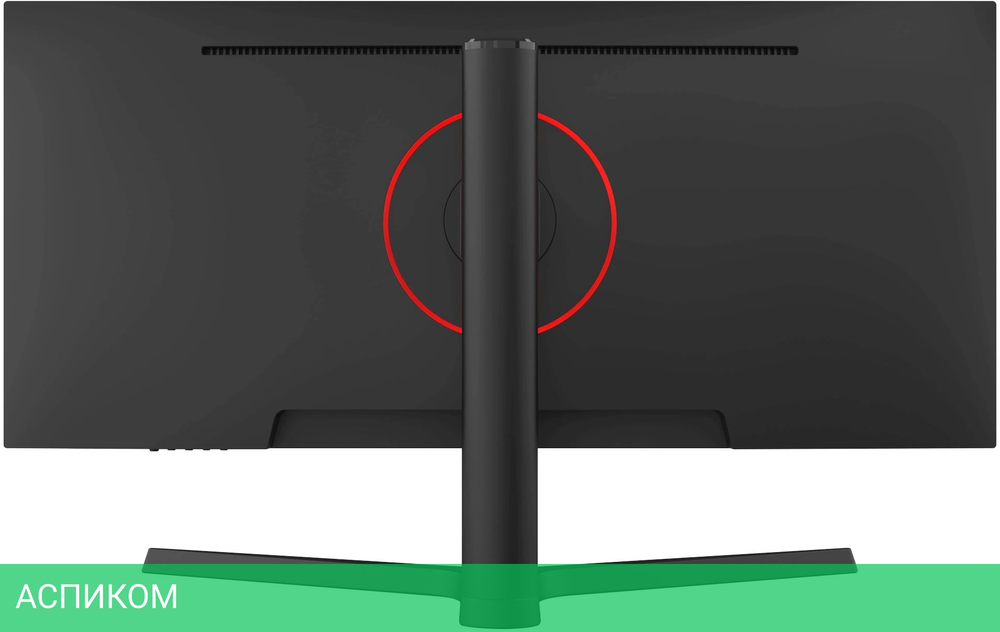 Монитор NPC 29" MZ300L