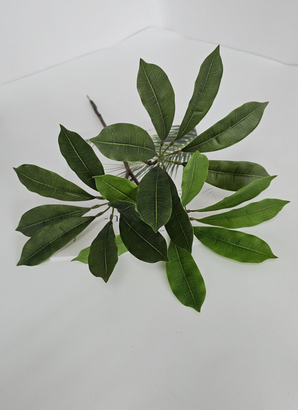 Плюмерия / Арт 1185