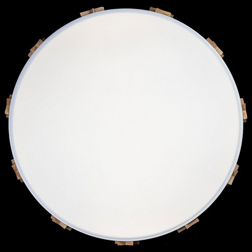 Накладной светильник Loft it Axel 5 10006/36 White
