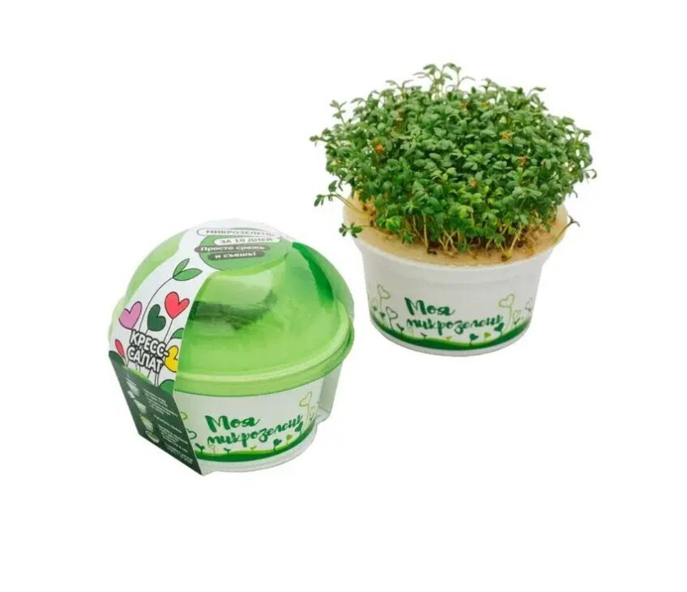 Комплексная эколого-патриотическая программа Сити-фермер, 4-7 лет