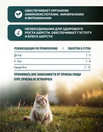 Vita+ мультивитаминное лакомство для кошек Здоровая кожа и красивая шерсть, 90 таблеток