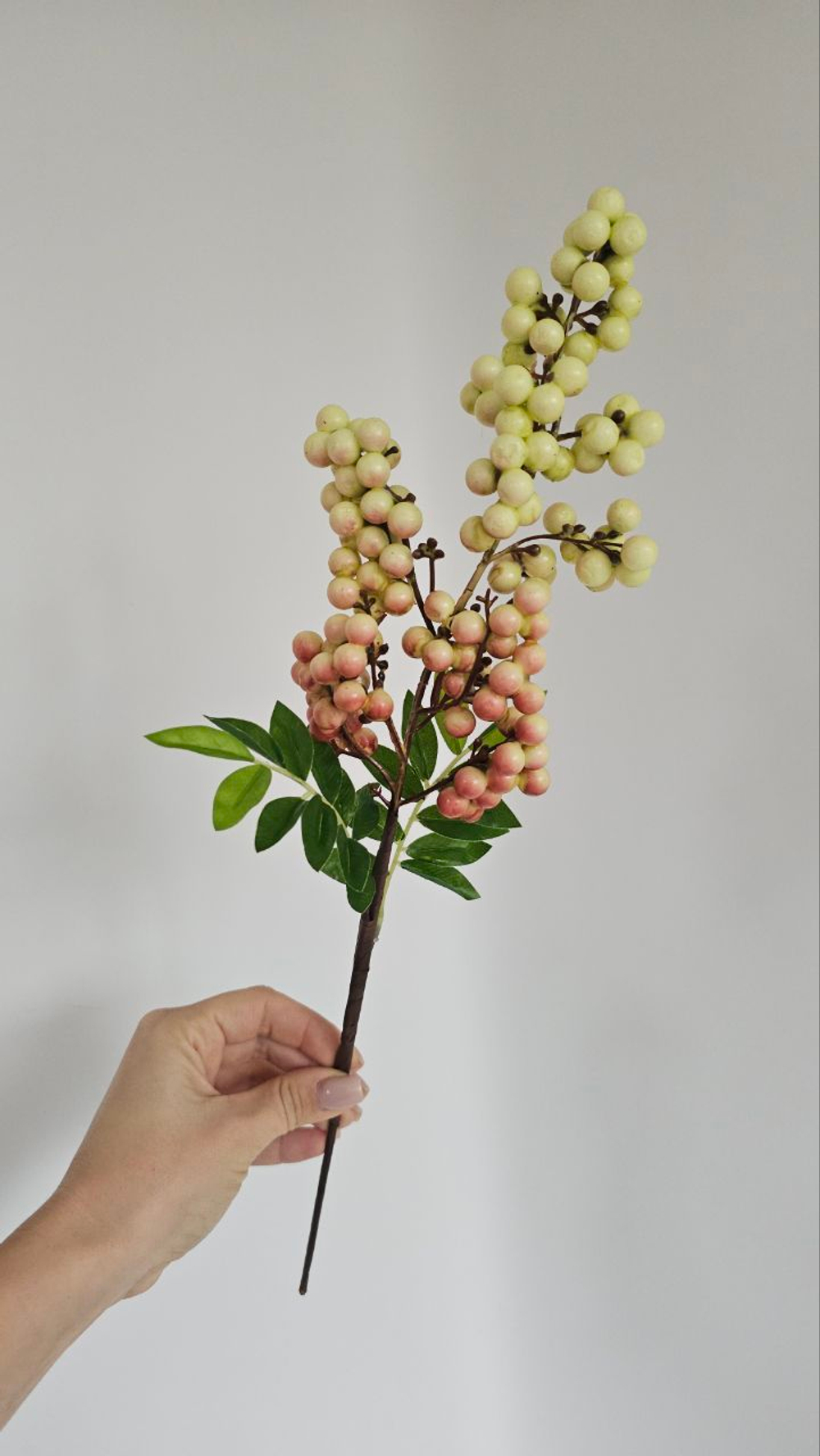 Ягоды / Арт 8041